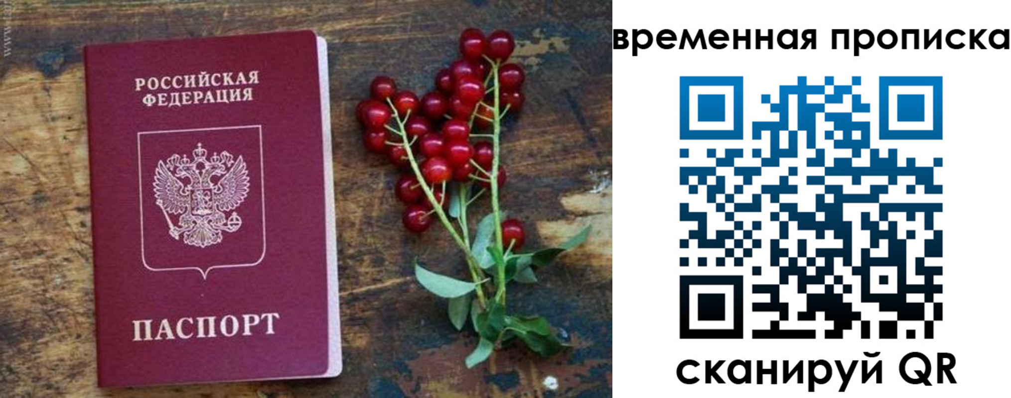 временная регистрация гарантия в Агрызе